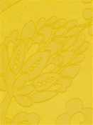 Isabella Yellow SU15876 66 Duralee Fabric 