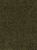 Jessica Moss Crypton Fabric 