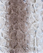 Juneau Sable 409092 PK Lifestyles Chenille 