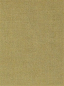 Key West Golden Barrow Fabric 