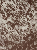 Kingdom Cheetah Brown Europatex Fabric 
