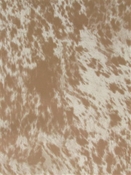 Kingdom Cheetah Tan Europatex Fabric 