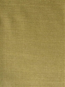 Kaye Moss Richloom Fabric