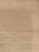 Kaye Sisal Richloom Fabric