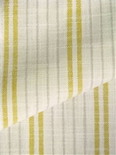 Kepler Canary Bella Dura Fabric