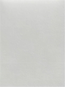 Leisure White Europatex Blackout Fabric