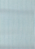 Laguna Aquamarine Ticking Fabric