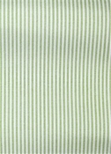 Laguna Celery Ticking Fabric