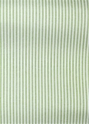 Laguna Celery Ticking Fabric