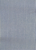 Laguna Ocean Ticking Fabric