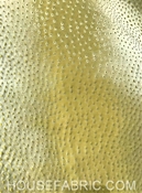 Hilary Farr Lounge Lizard 244 Acid Green