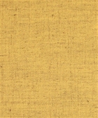 M9872 Daffodil 21203
