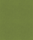 M9989 Jade 32103