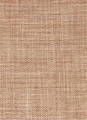 Madras Cinnabar