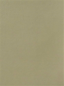 Magic Beige Mitchell Vinyl