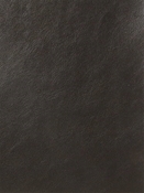 Magic Chocolate Mitchell Vinyl