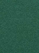 Mercer Hemlock P. Kaufmann Boucle 