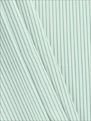 Berlin Ticking Stripe Aqua Magnolia Home 