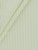 Berlin Ticking Stripe Meadow Magnolia Home