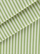 Polo Stripe Jungle Magnolia Home Fashions Fabric