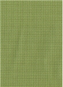 Malabar Kiwi