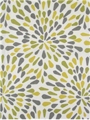 Many Petals Zest Crypton Fabric
