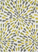 Many Petals Zest Crypton Fabric