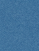 Mercer Copen P. Kaufmann Boucle