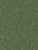 Mercer Olive P. Kaufmann Boucle