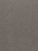 PEBBLETEX 109 METAL Canvas Fabric