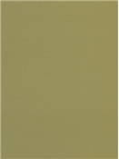 PEBBLETEX 122 KHAKI Canvas Fabric