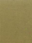 PEBBLETEX 288 PEAR Canvas Fabric