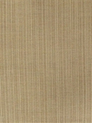 Pensacola Tan Barrow Fabric