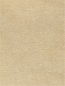 Perf Felice Biscuit P. Kaufmann Fabric 