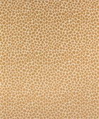 Perdita 21115 M9641 Sand Barrow Fabric