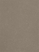 Perseid Mink Vinyl Fabric