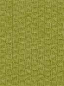 Pirouette 25 Olive Covington Fabric 