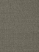 Redford 619 Truffle Canvas