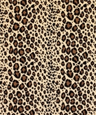 Rajah 12314 M9852 Leopard