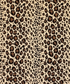 Rajah 12314 M9852 Leopard