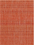 SD Boca Vista 329 Salsa
