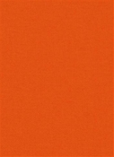 SD Zen 320 Orange Canvas
