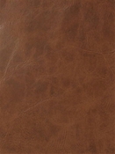 Sierra Burly Mitchell Vinyl