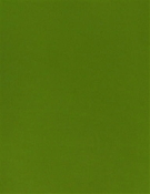 Solid Lime SunReal Performance Fabric 