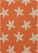 SD Star Fish 33 Firecracker