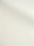 Santiago 21001 Faux Mohair Velvet
