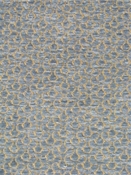 Sarsaparilla 12003 Barrow Fabrics 