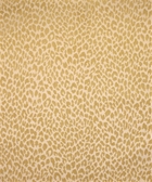 Shenzi 11311 M9818 Sisal