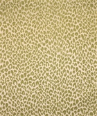 Shenzi 12111 M9818 Kiwi