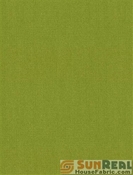 Solid Lime SunReal Canvas 